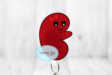 Load image into Gallery viewer, Kidney